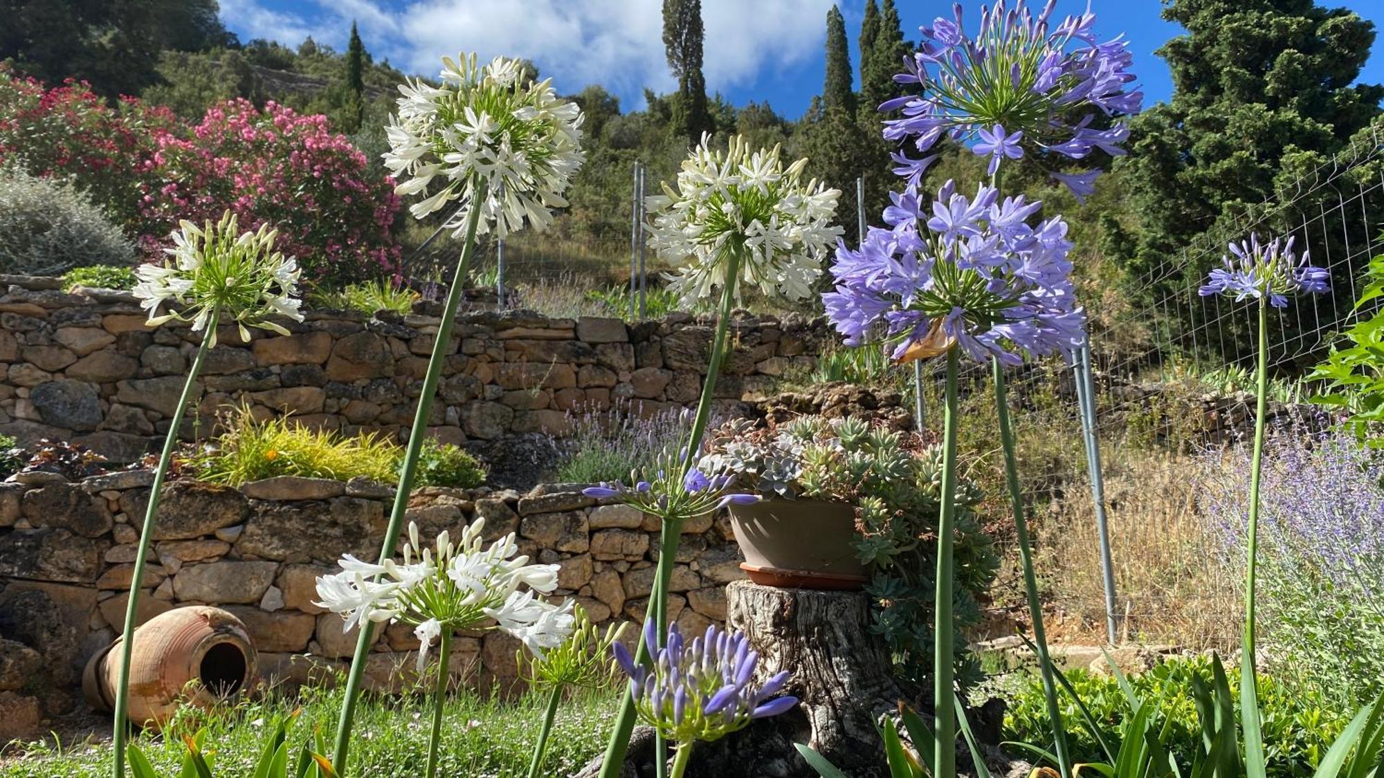 Apartamentos Casa Lola Rodeados De Montanas Y Rios เบเซย์เต ภายนอก รูปภาพ